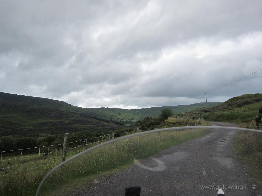 IMG_2348.JPG - Borlinn Valley, Gougane Barra Forest Park