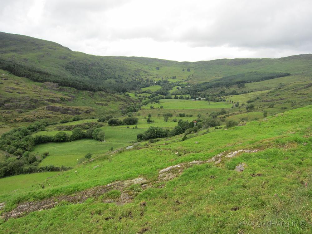 IMG_2355.JPG - Borlinn Valley, Gougane Barra Forest Park