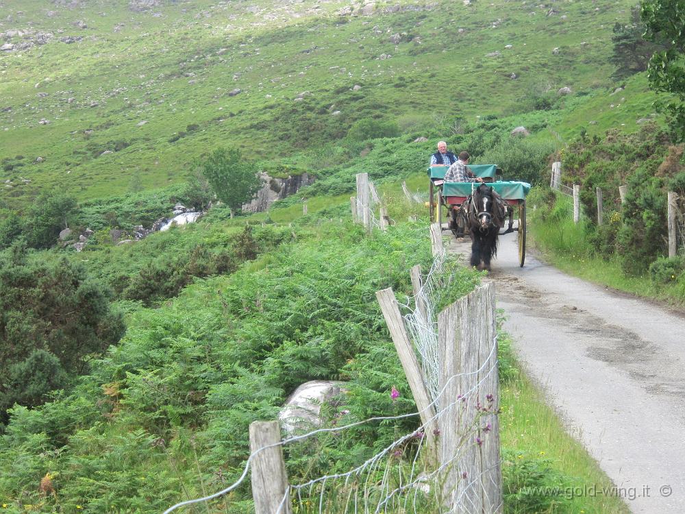 IMG_2602.JPG - Gap of Dunloe: carretti con turisti scendono dal valico