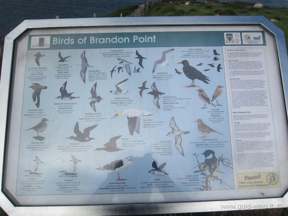 IMG_2888.JPG - Brandon Point