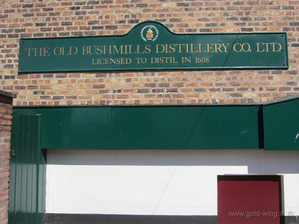 IMG_4613.JPG - Bushmills: la più antica distillleria (legale) di whiskey, del 1608