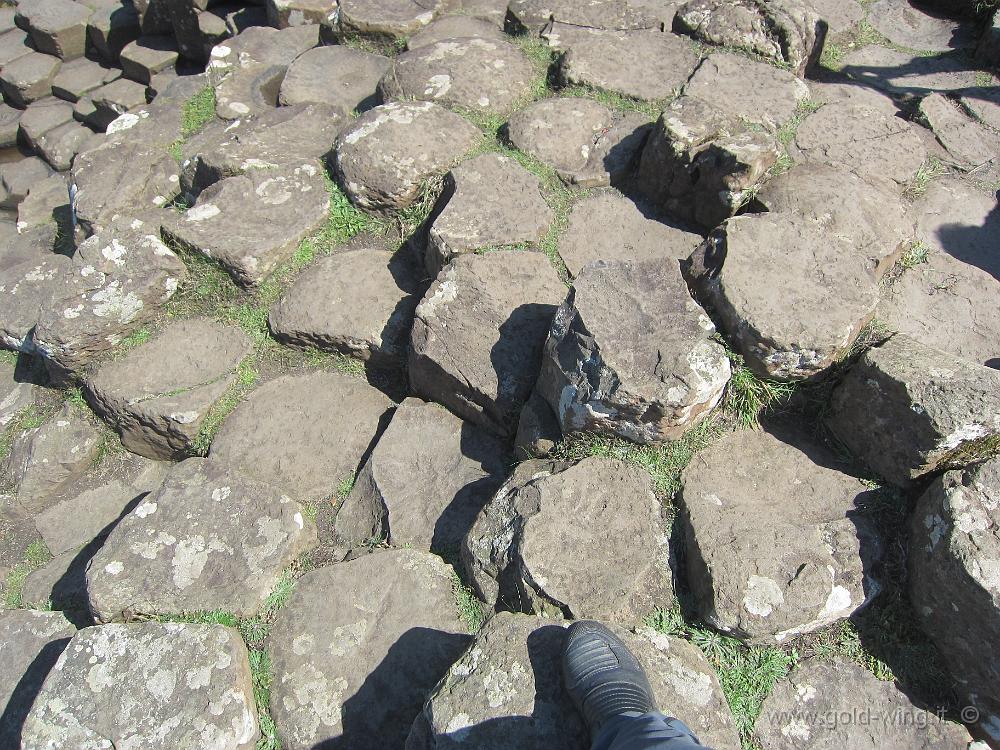 IMG_4652.JPG - Giant's Causeway (Sentiero del Gigante)