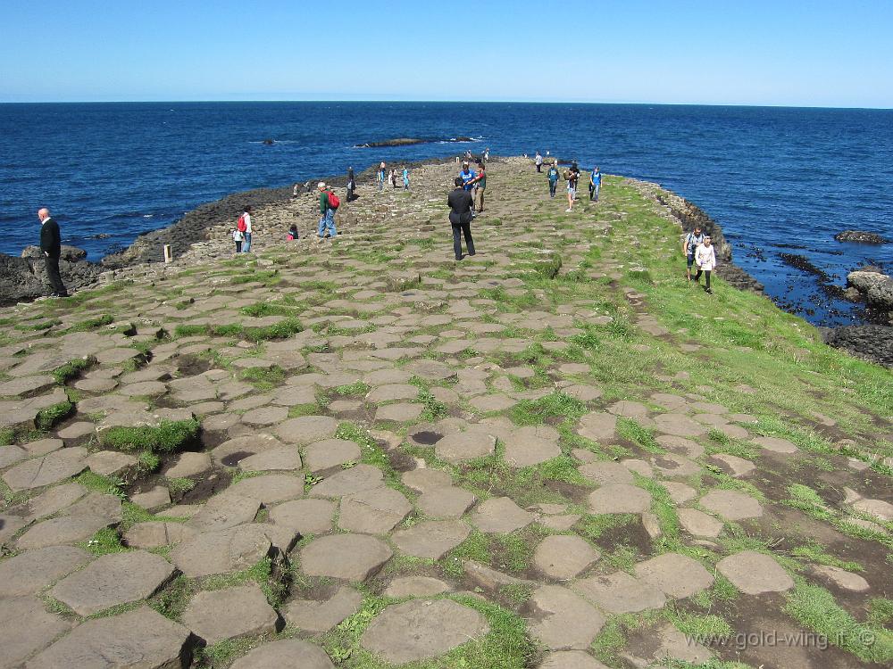 IMG_4685.JPG - Giant's Causeway