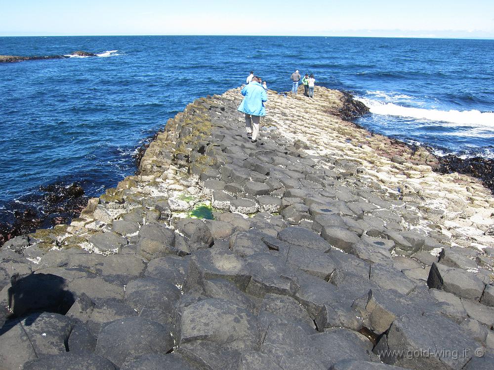 IMG_4696.JPG - Giant's Causeway