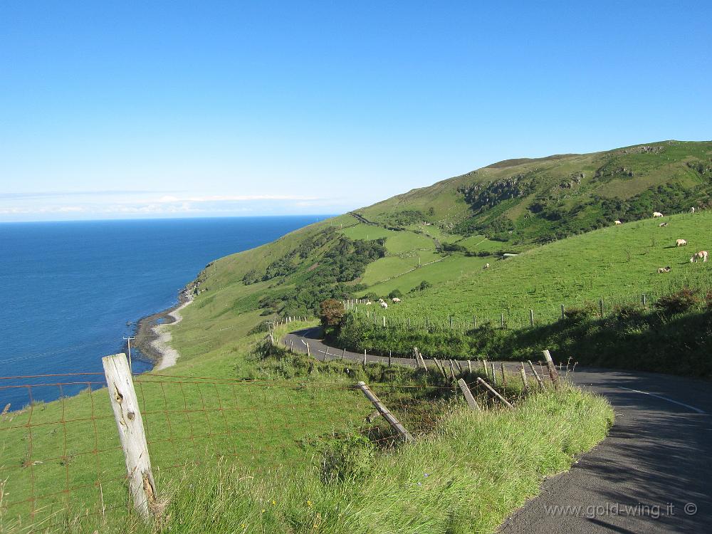 IMG_4910.JPG - Antrim Coast, a sud di Torr Head