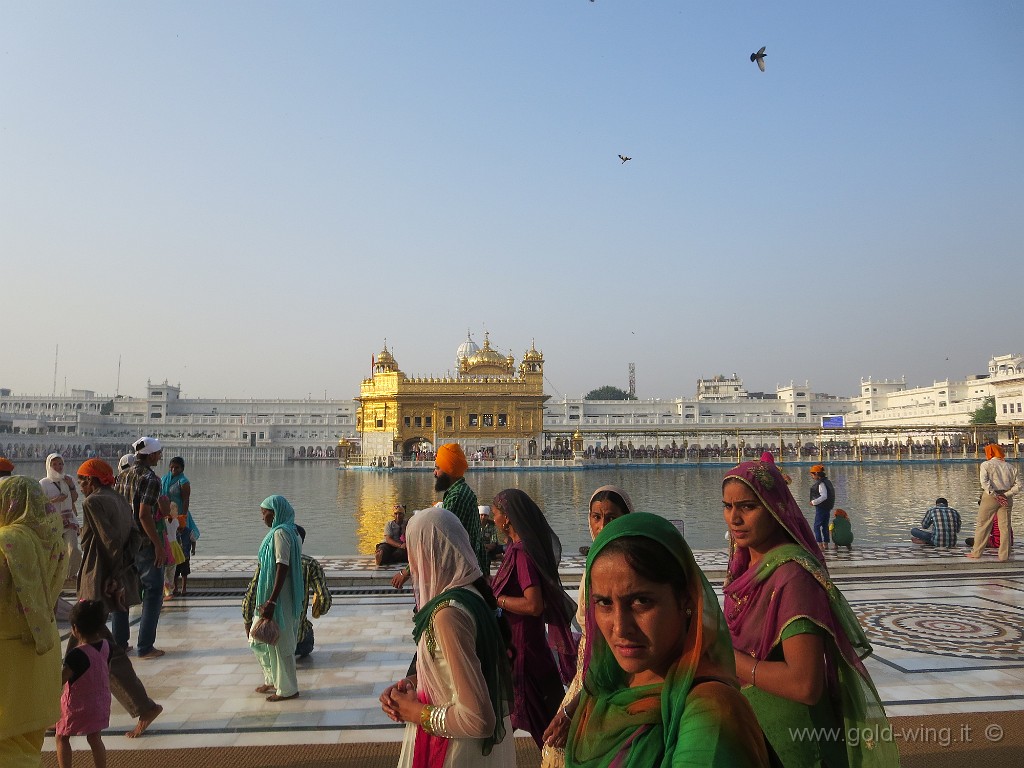 IMG_1931.JPG - Amritsar: il Golden Temple dei sikh