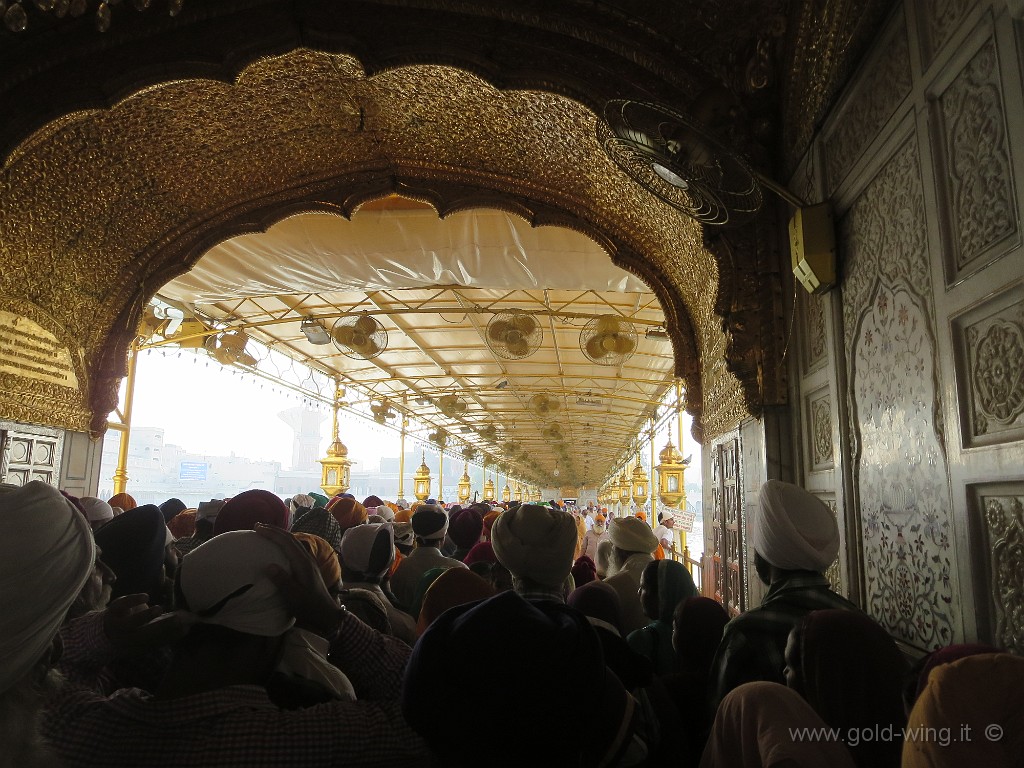 IMG_1980.JPG - Amritsar, il Golden Temple dei sikh: la fila per entrare nell'Hari Mandir Sahib, il tempio in mezzo al lago