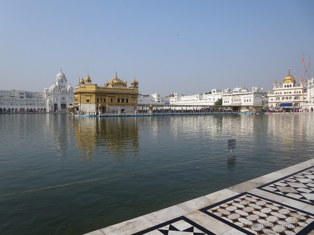 IMG_2046.JPG - Amritsar: il Golden Temple dei sikh