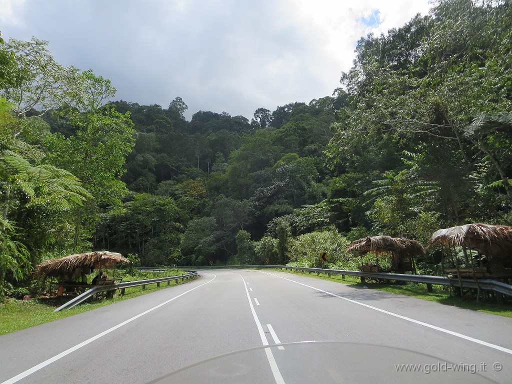 IMG_3983.JPG - Cameron Highlands