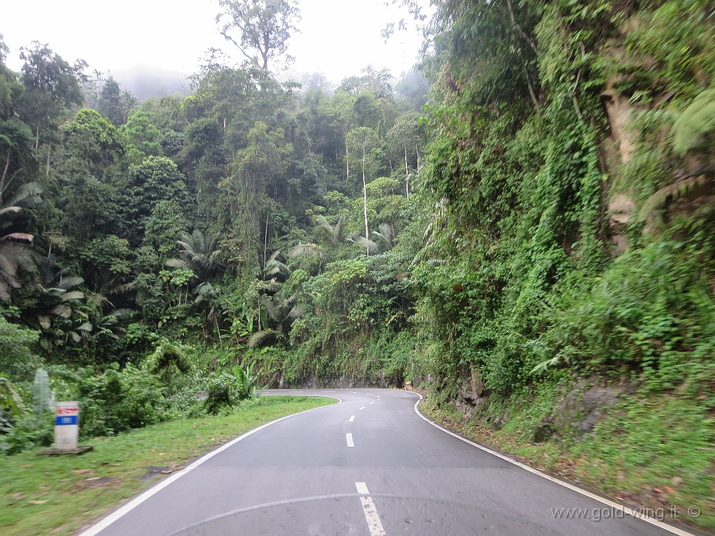 IMG_4041.JPG - Cameron Highlands