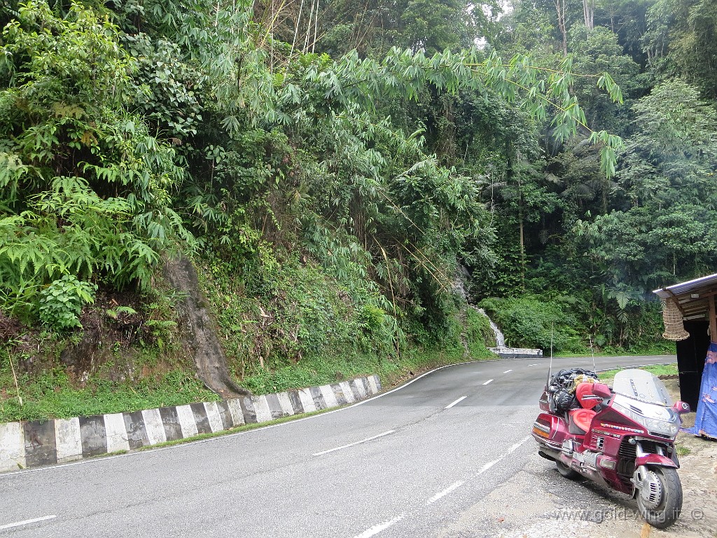 IMG_4050.JPG - Cameron Highlands