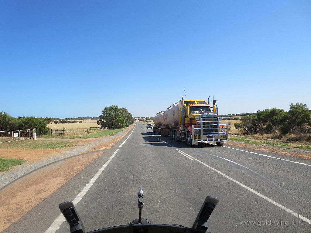 IMG_4620.JPG - Australia Occidentale: un Road Train