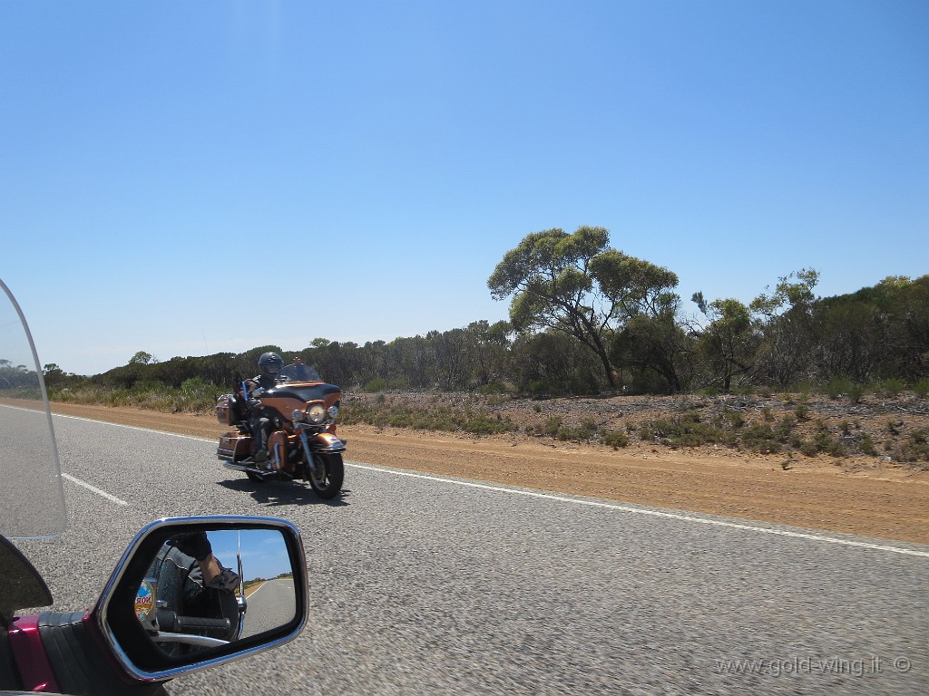 IMG_4642.JPG - Australia Occidentale: motociclista