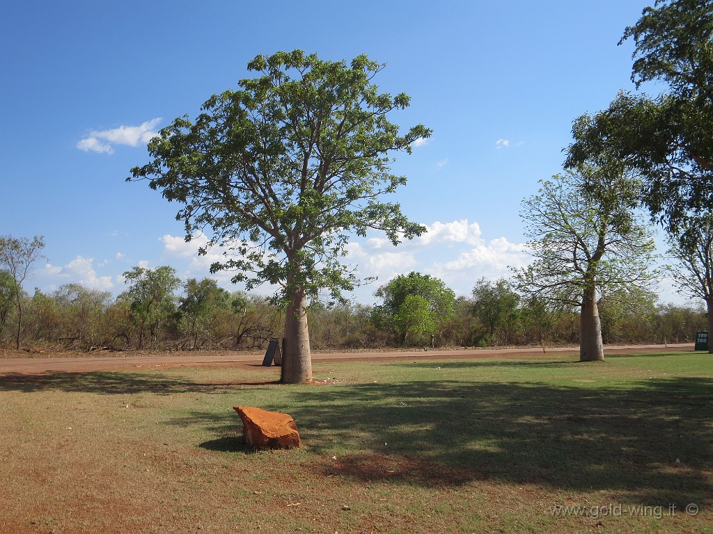 IMG_5022.JPG - Baobab