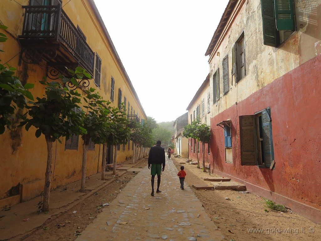 IMG_0-9983.JPG - Ile de Goreè (Isola di Goreè)