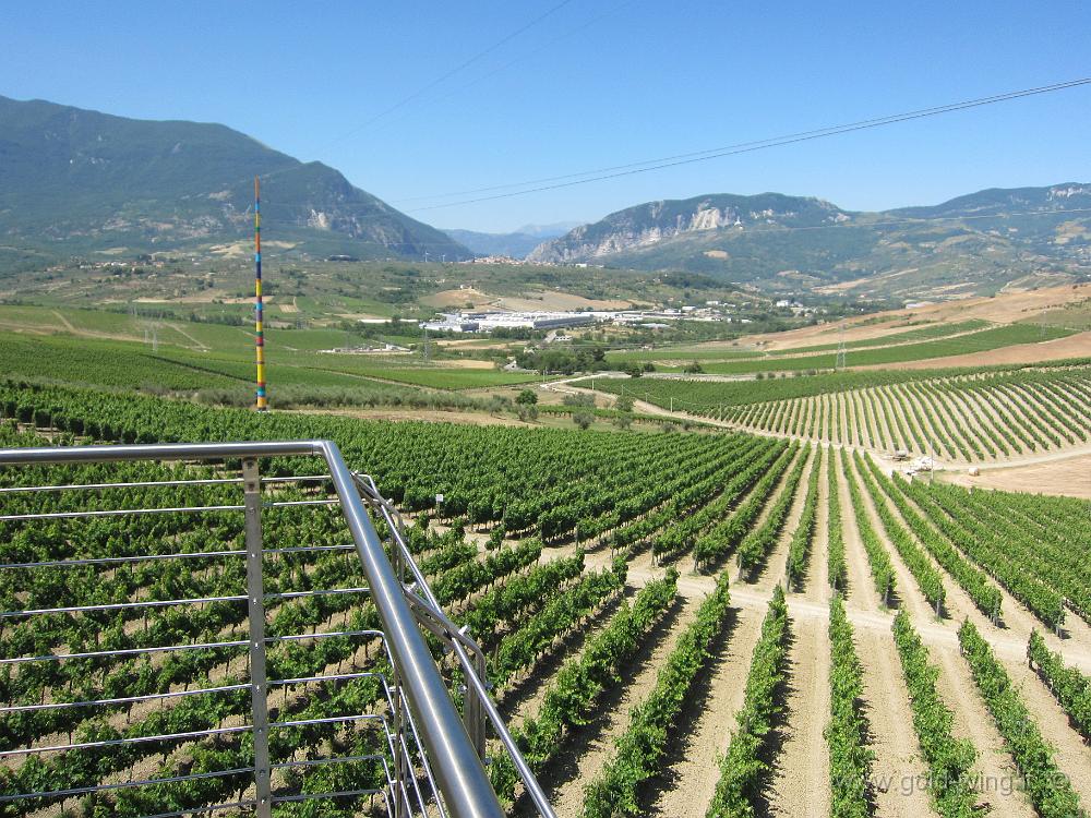 IMG_0016.JPG - Cantine Zaccagnini, Bolognano (PE)