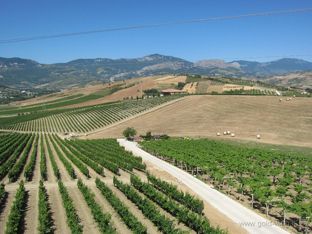 IMG_0018.JPG - Cantine Zaccagnini, Bolognano (PE)