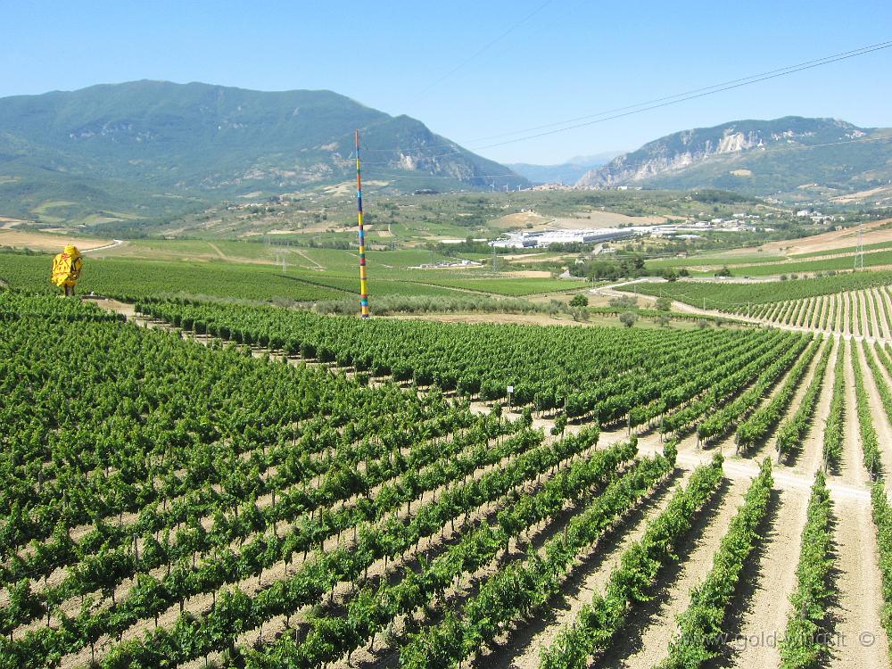 IMG_0025.JPG - Cantine Zaccagnini, Bolognano (PE)