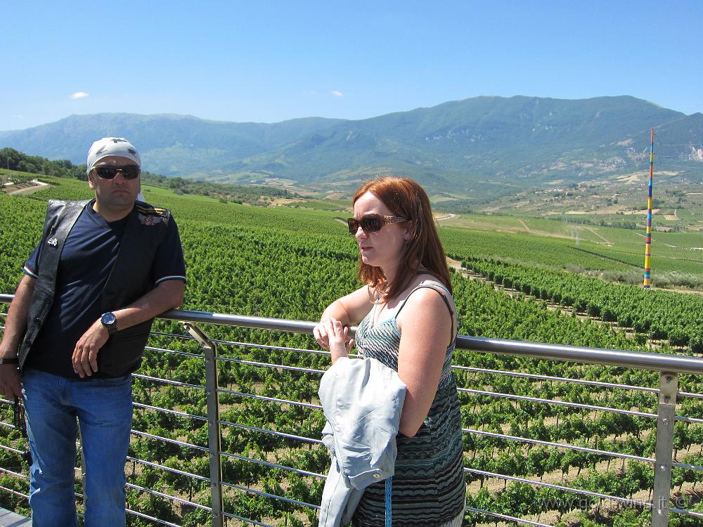 IMG_0026.JPG - Cantine Zaccagnini, Bolognano (PE)