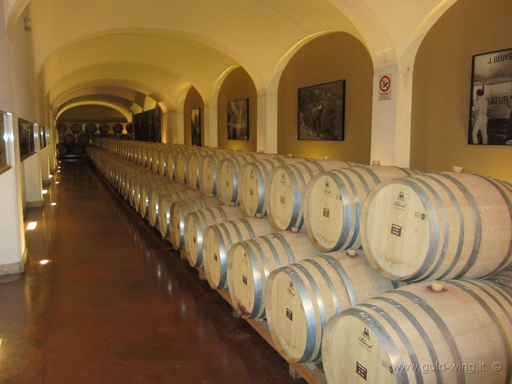 IMG_0032.JPG - Cantine Zaccagnini, Bolognano (PE)