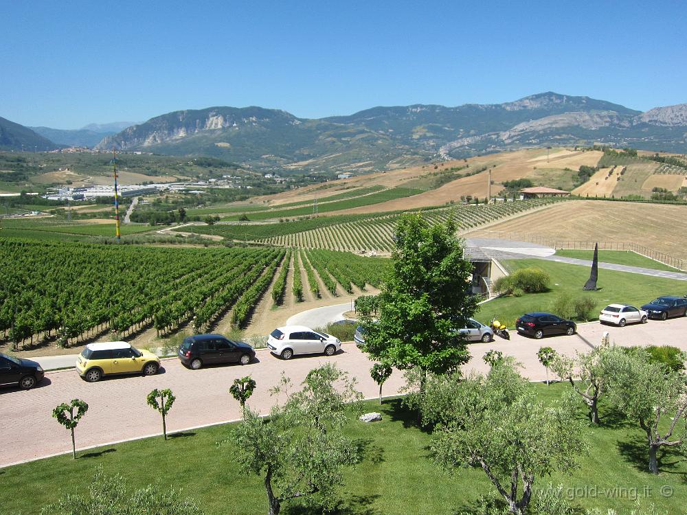 IMG_0060.JPG - Cantine Zaccagnini, Bolognano (PE)