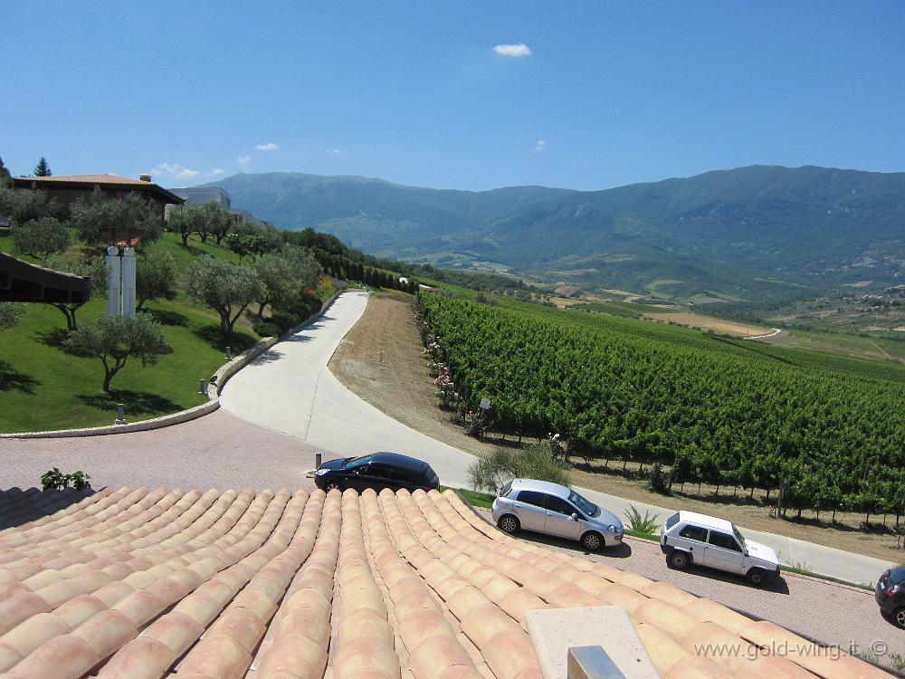 IMG_0062.JPG - Cantine Zaccagnini, Bolognano (PE)