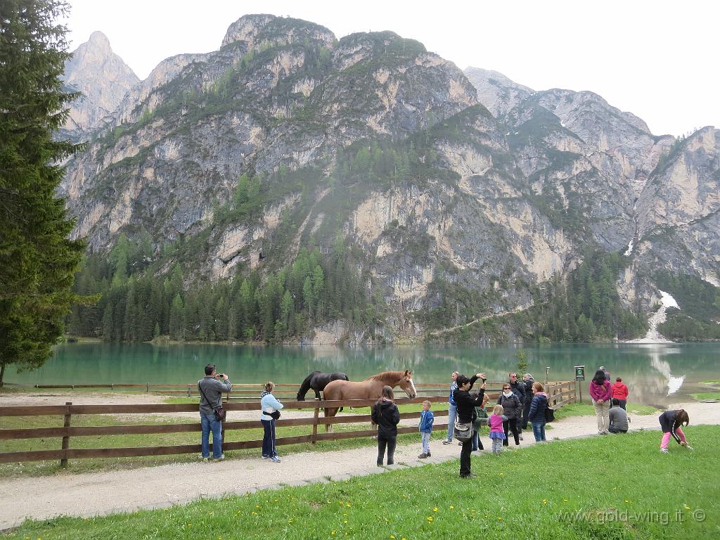 IMG_0052.JPG - Lago di Braies (m 1.495, BZ)