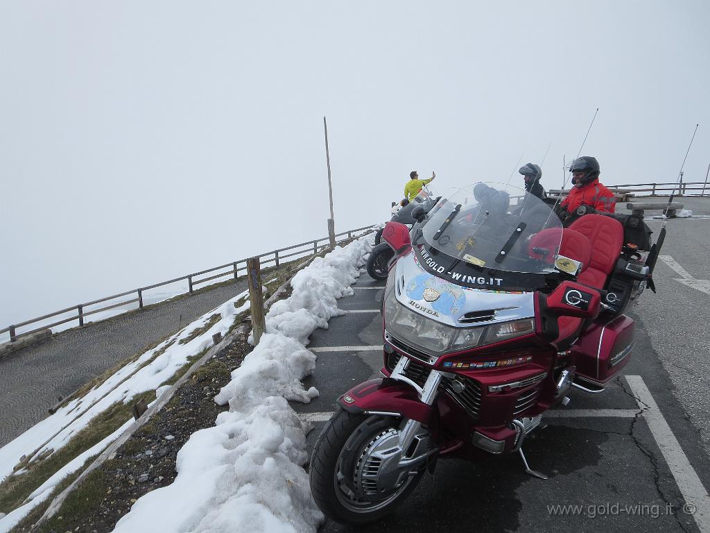 IMG_0295.JPG - Cima dell'Edelweiss (m 2.571)