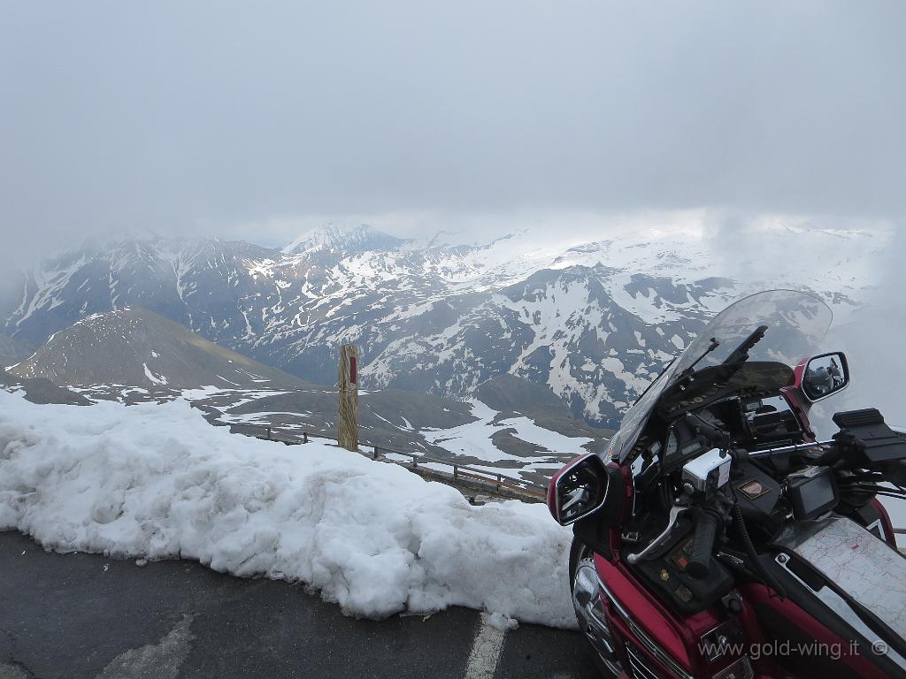 IMG_0301.JPG - Cima dell'Edelweiss (m 2.571)