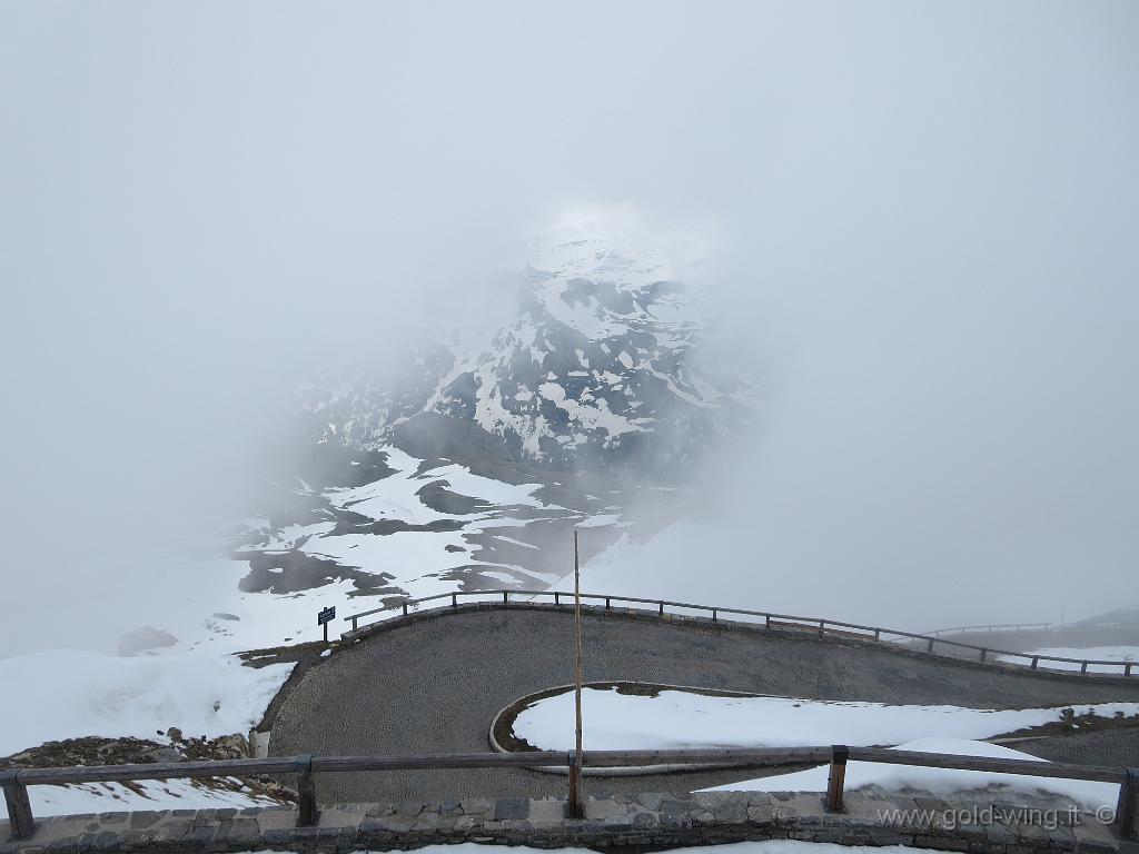 IMG_0313.JPG - Panorama dalla cima dell'Edelweiss (m 2.571)